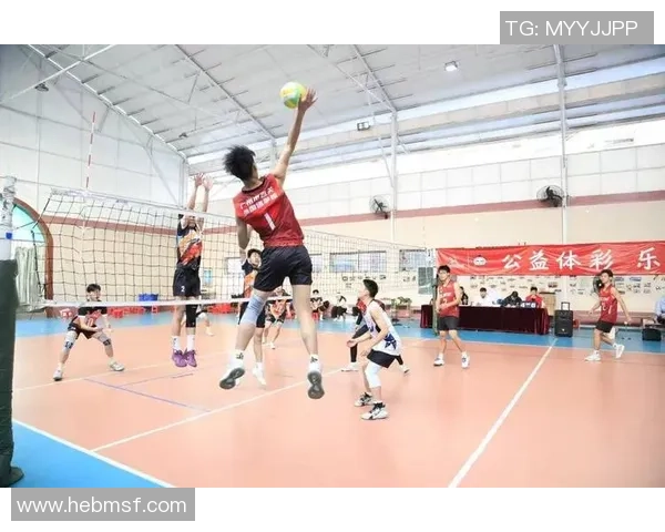 广州排球队的意识提升与团队协作探讨聚焦排球运动发展新方向